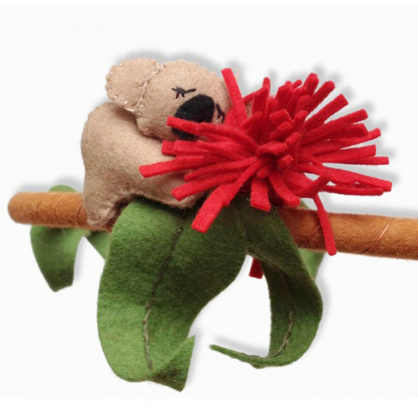 Annie's racing Kangas