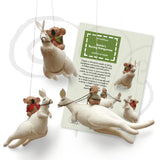 Annie's racing Kangas